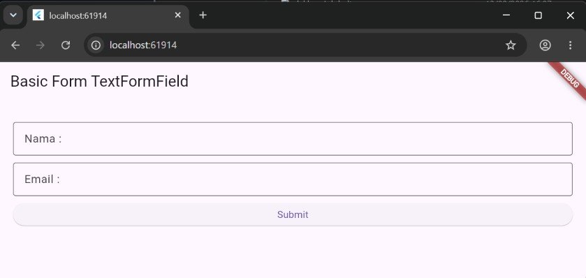  Hasil Tampilan Awal Basic Form TextFormField